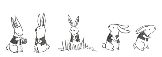 Rabbit, Iteration 1