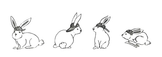 Rabbit, Iteration 3